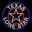 Texas Lone Stars
