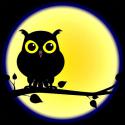NIGHTOWLPT